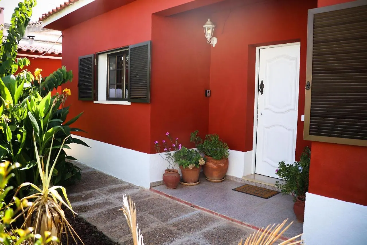 Summer House With Private Pool Faro Villa